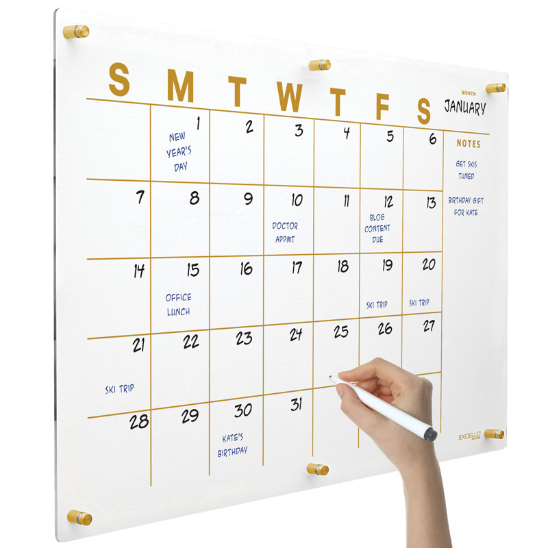 Calendrier mural en acrylique effaçable à sec Excello Brands, 20 po x 30 po, imprimé doré