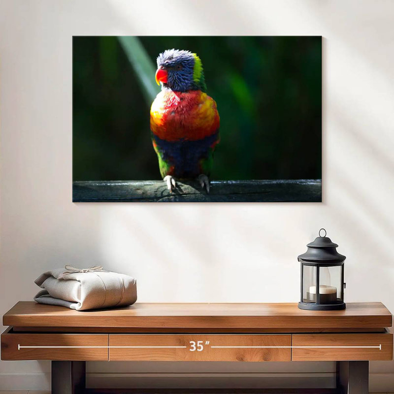 Brampt Sunlit Rainbow Lorikeet, 16" H x 24" W