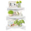 Antwuan 3 Piece Floating Shelf-925934322