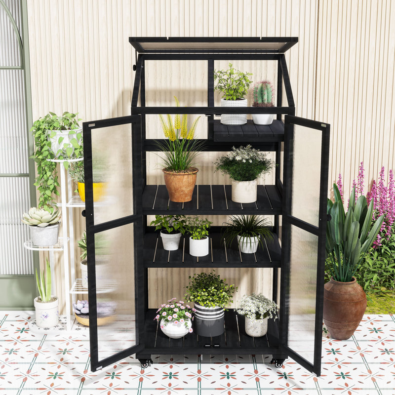 Serre portative en bois avec tablettes réglables, structure froide sur roulettes pour l'intérieur et l'extérieur, Noir
