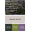 «Botanical Crocuses», art mural en métal gris-359338045