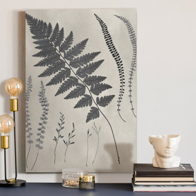 Vintage Fern Study II - Wrapped Canvas Print