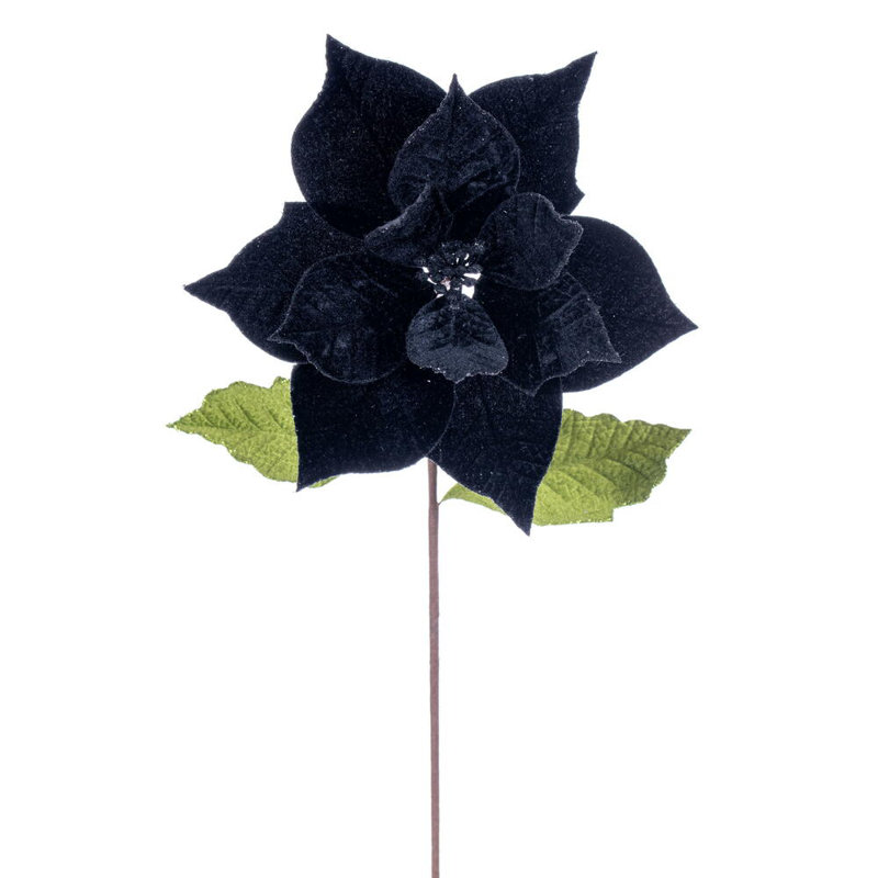 Tige de poinsettia 12 "x 20" Il comprend quatre pièces par sac., Noir
