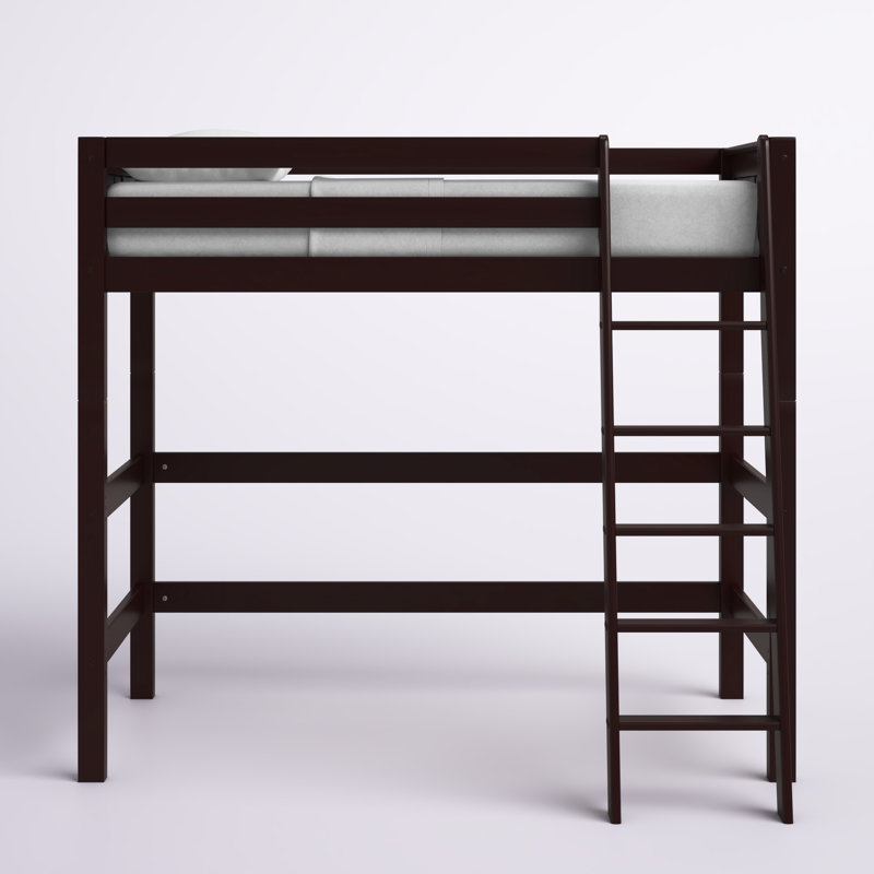 Burkley Kids Twin Solid Wood Loft Bed with Built-in Ladder, Cappuccino