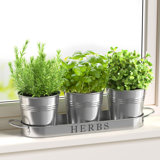Indoor Herb Garden Planter Set with Tray