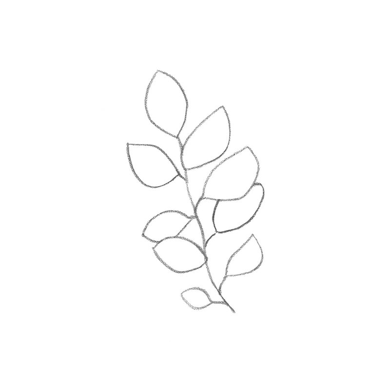 «Botanical Minimal Line Art», reproduction d'art sur toile tendue, H 26 po x l 18 po x 1,5 po