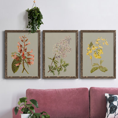Botanical Array I - ensemble de 3 peintures sur toile encadrées
