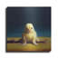 «Yoga Chick Front Split» par Lucia Heffernan-516657028