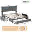 Dayshaun Upholstered Storage Bed-97803519-97803518