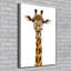 Giraffe - Wrapped Canvas Print