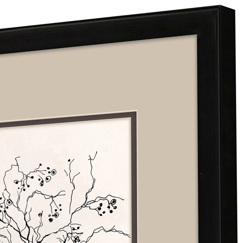 Black Branches S/2