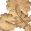Wall Decor on Metal