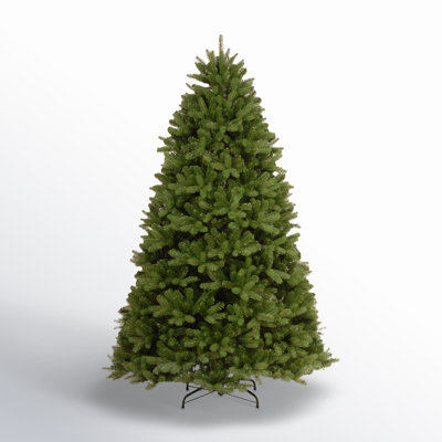 Newberry Spruce Christmas Tree