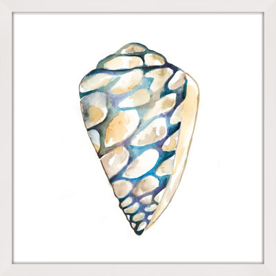 «Aquarelle Shells III», reproduction encadrée