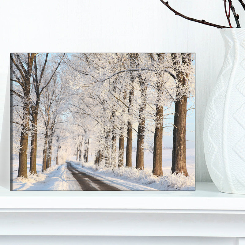 Beautiful Winter Lane at Morning - Reproduction de photo sur toile tendue, H 20 po x l 20 po x P 1 po