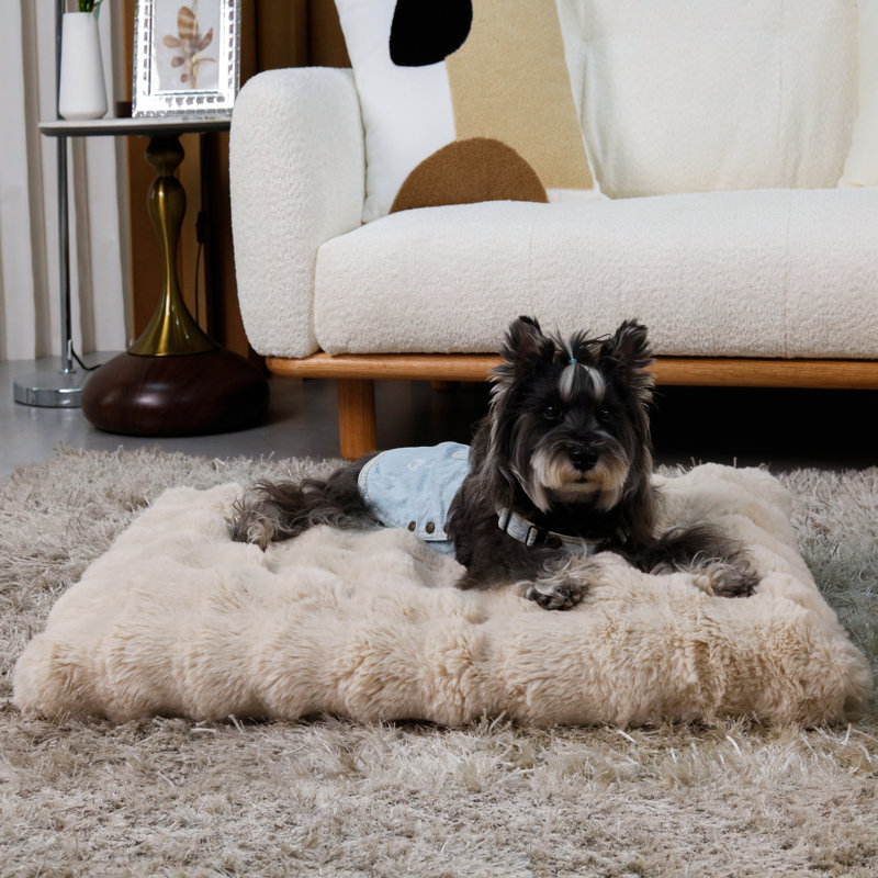 Dog Bed, Beige, 10cm H x 90cm W x 60cm D