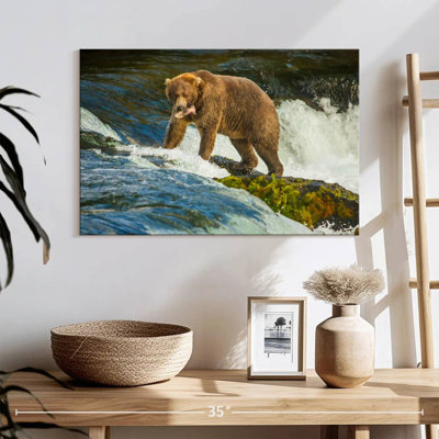 Brampt Fearless Grizzly Bear