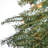 Alpine 4' Pre-Lit Pine Christmas Tree
