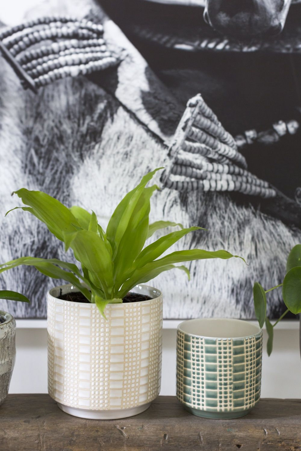 Derick 7" Ceramic Pot Planter, Off White