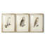 French Owls IV - reproduction sur mesure encadrée de qualité supérieure - 3 pièces-785290331-785290335