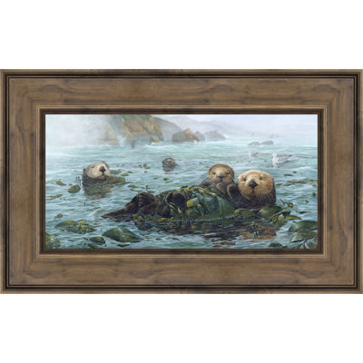 " Carmel Coast Otters "