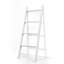 Geneen 50 cm W Storage Rack-1485417561