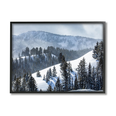 " Quiet Snowy Mountain Slopes Scattered Fir Trees " by Steve Smith