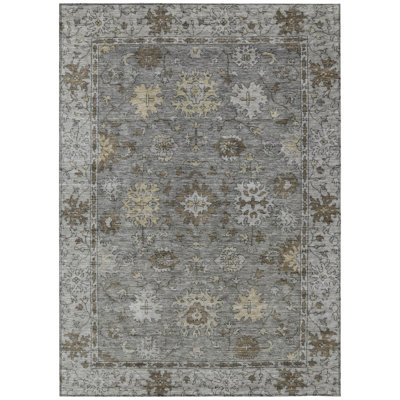 Machine Washable Indoor/Outdoor Xhevrie Pewter Rug