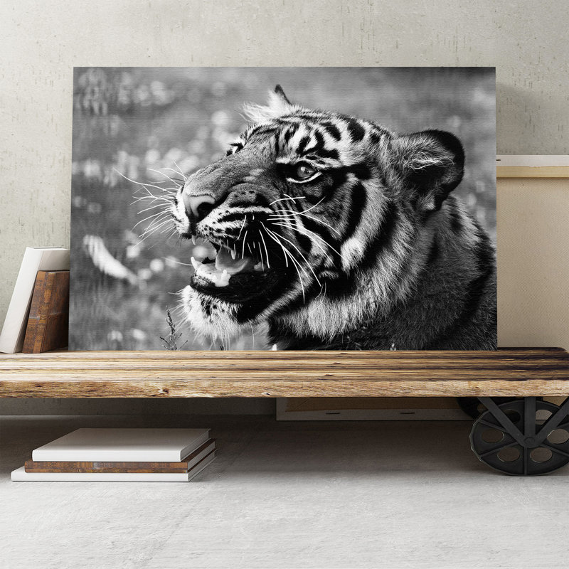 Tiger Photographic - Wrapped Canvas, 35cm H x 50cm W