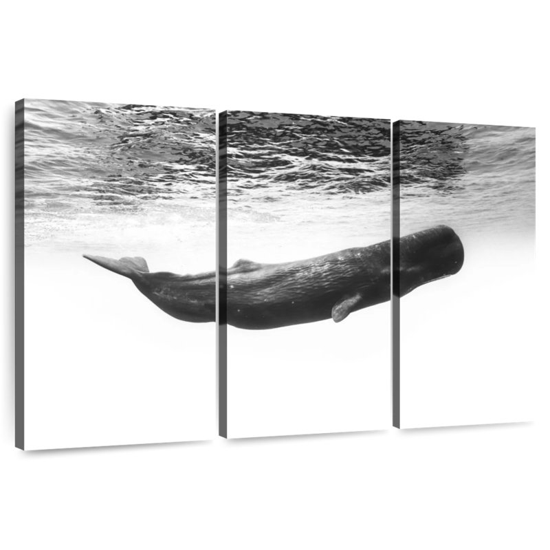 Sperm Whale I, 24" H x 38" W