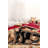 Hultgren Indoor Rug-964369546