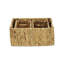Ensemble de 3 bacs en ruppie maritime