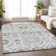 Premium Machine Washable Prisco Silver Rug