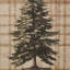 Tapis lavables imprimés Eddie Bauer-126739694-126739695