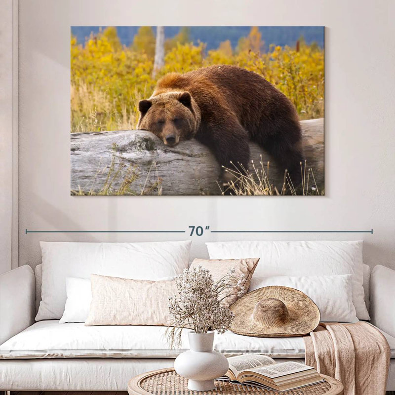 Ours grizzly au repos Brampt, H 34 po x l 51 po