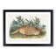 Armadillo 1 Piece Single Picture Frame Painting-57844247-57844248