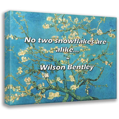 Citation artistique «No deux flocons de neige se ressemblent ...» par Wilson Bentley, toile tendue avec châssis