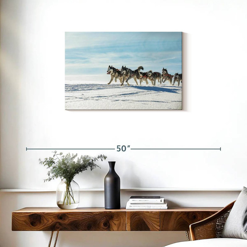 Winter Husky Sled Dogs, H 20 po x l 30 po