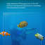 Grand aquarium vertical flottant de 39,37 po-129888762
