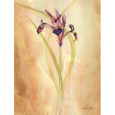 " Purple Iris "