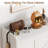 20 Pair Shoe Storage Cabinet