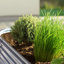 Lit de jardin surélevé Roede-881603631-929403018