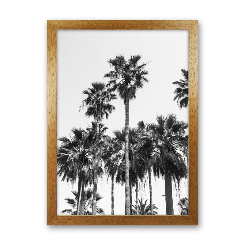 Sabal Palmetto II Palm Trees by Victoria Frost - Print, Oak Framed, 63cm H x 46cm W x 3cm D