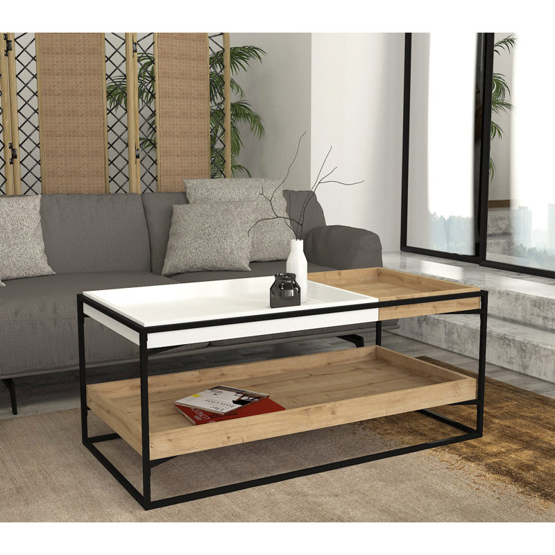 Aleida Frame Coffee Table