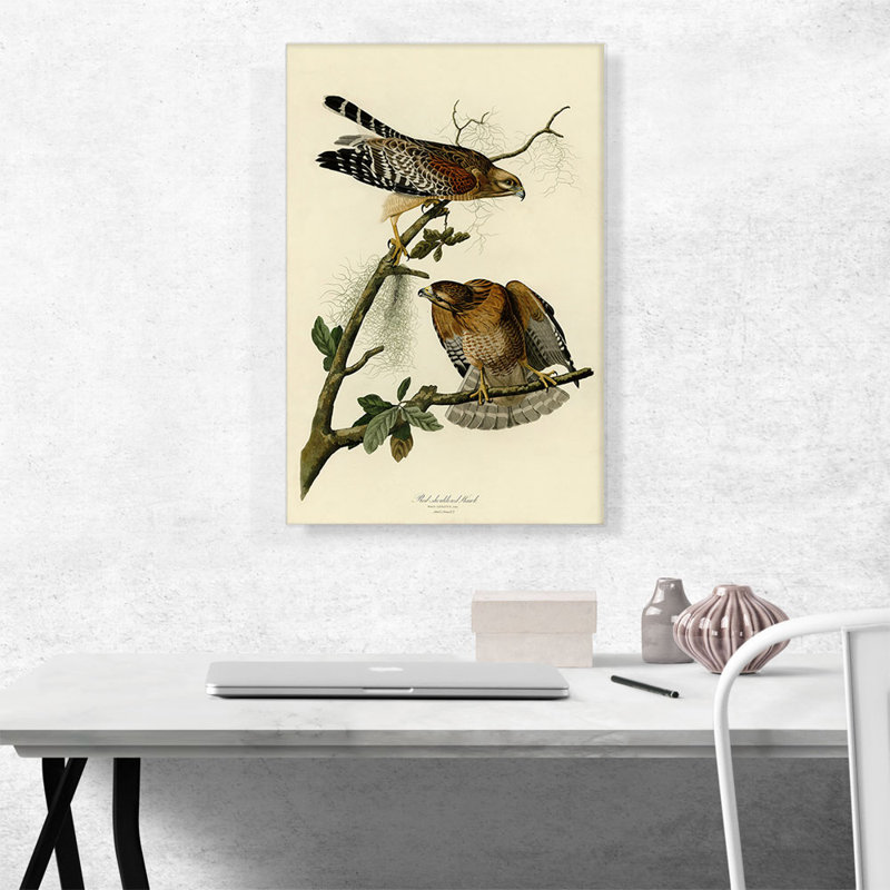 Reproduction d'art sur toile tendue, "Red Épaule rouge" par James Audubon, H 26 po x l 18 po x P 0,75 po