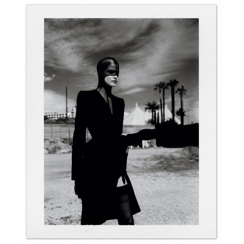 Newton, Polaroids