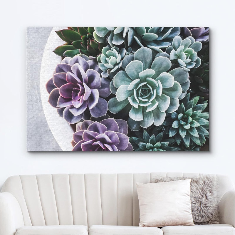 «Purple Green Pearl Echeveria Succulents Zen» sur, H 32 po x l 48 po