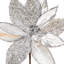 Tiges de poinsettia-494682499