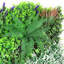 Paravent 40 po Eucalyptus