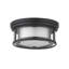 Javette Glass Flush Mount-1899931929